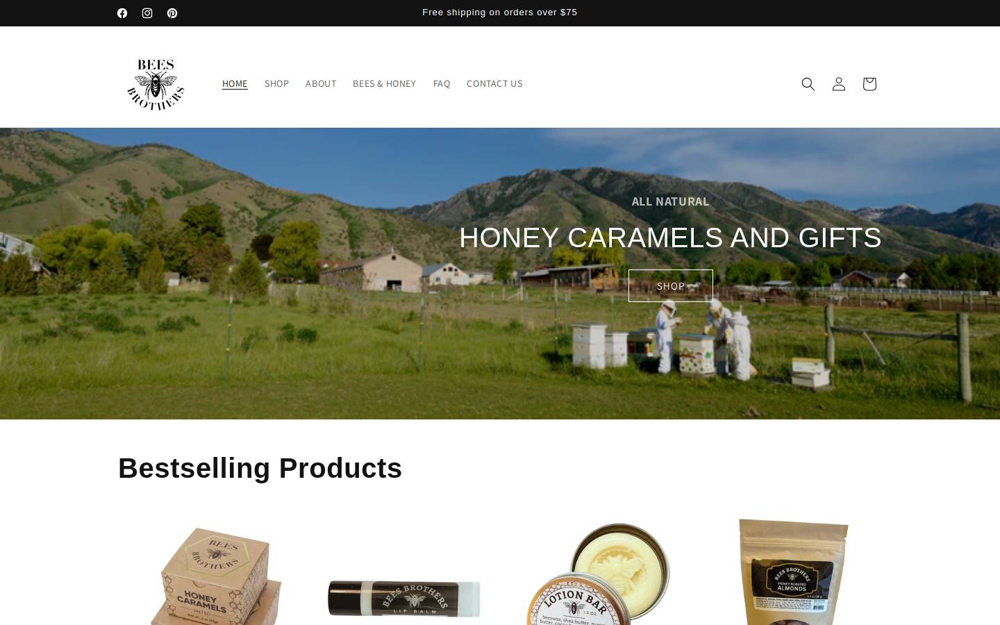 beesbrothers.com homepage screenshot