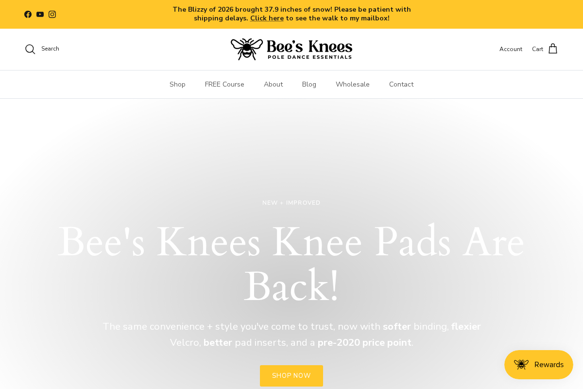 beeskneeskneepads.com homepage screenshot