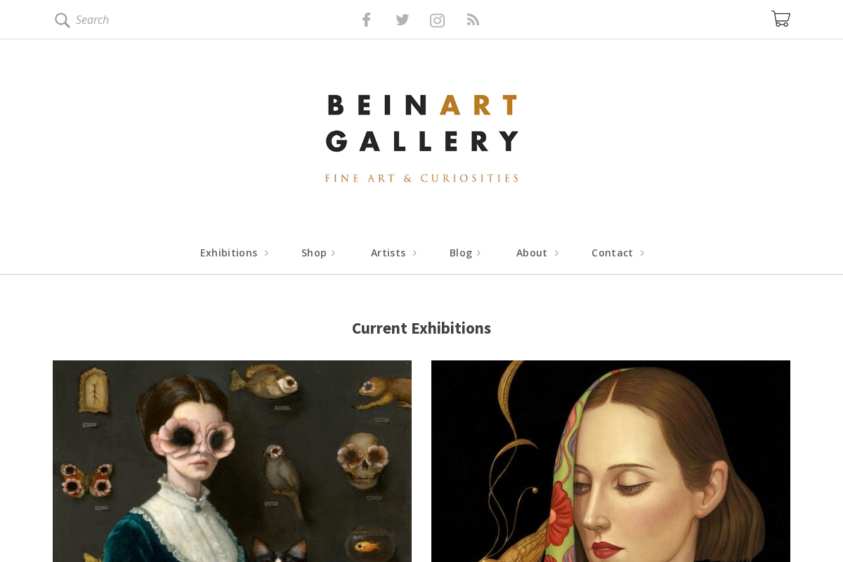 Beinart Gallery homepage screenshot