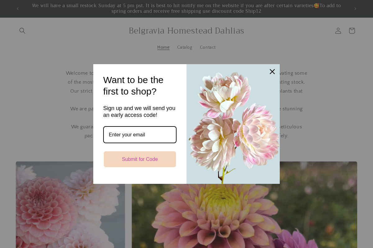 Belgravia Homestead Dahlias homepage screenshot
