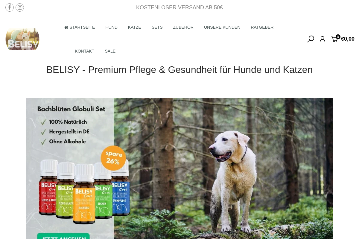 BELISY homepage screenshot