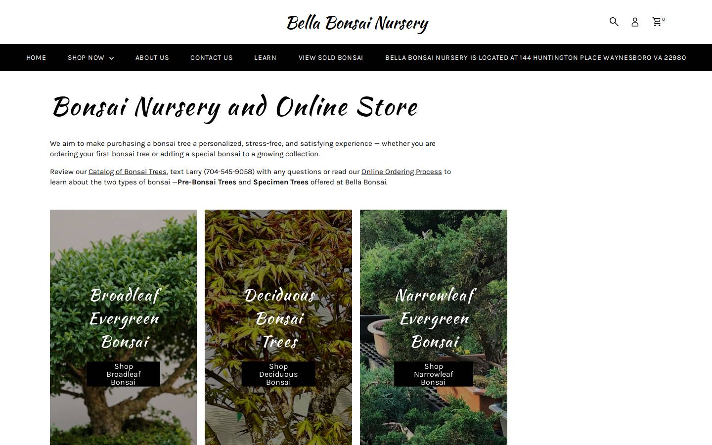 bellabonsai.com homepage screenshot