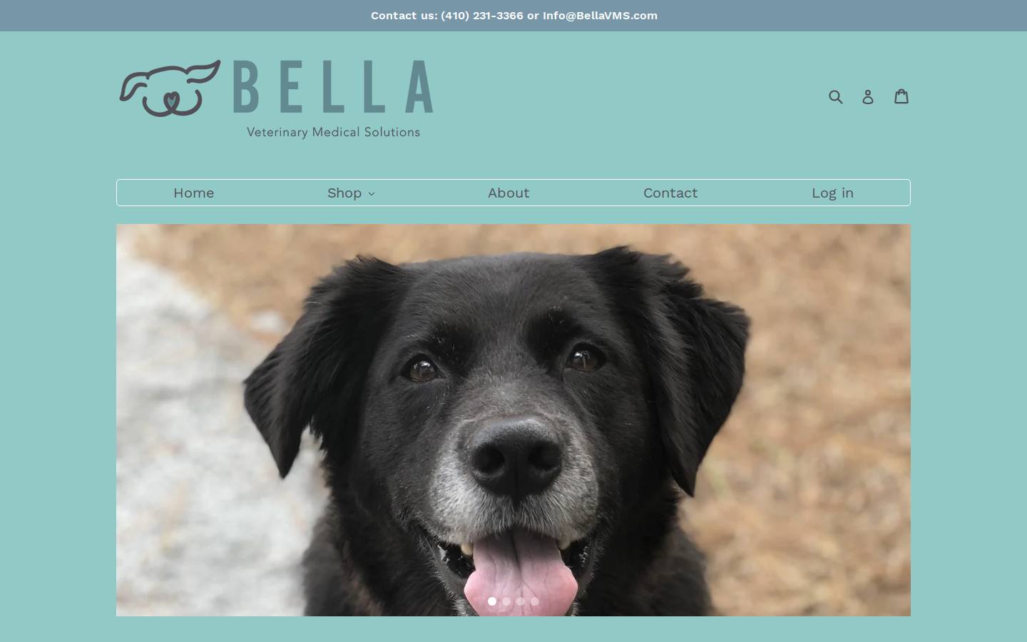 bellavms.com homepage screenshot