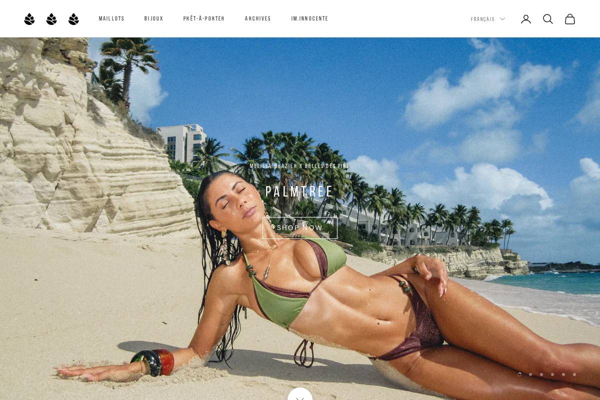 bellesdespins.com homepage screenshot