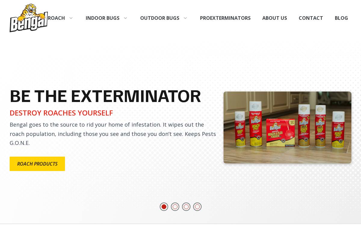 Bengal Chemical, Inc. homepage screenshot