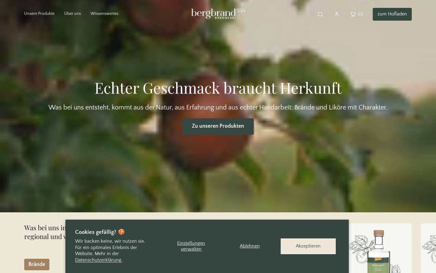 bergbrand555.de homepage screenshot