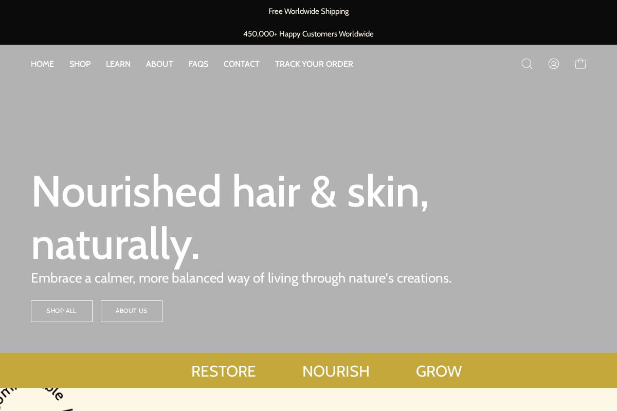 Besque homepage screenshot