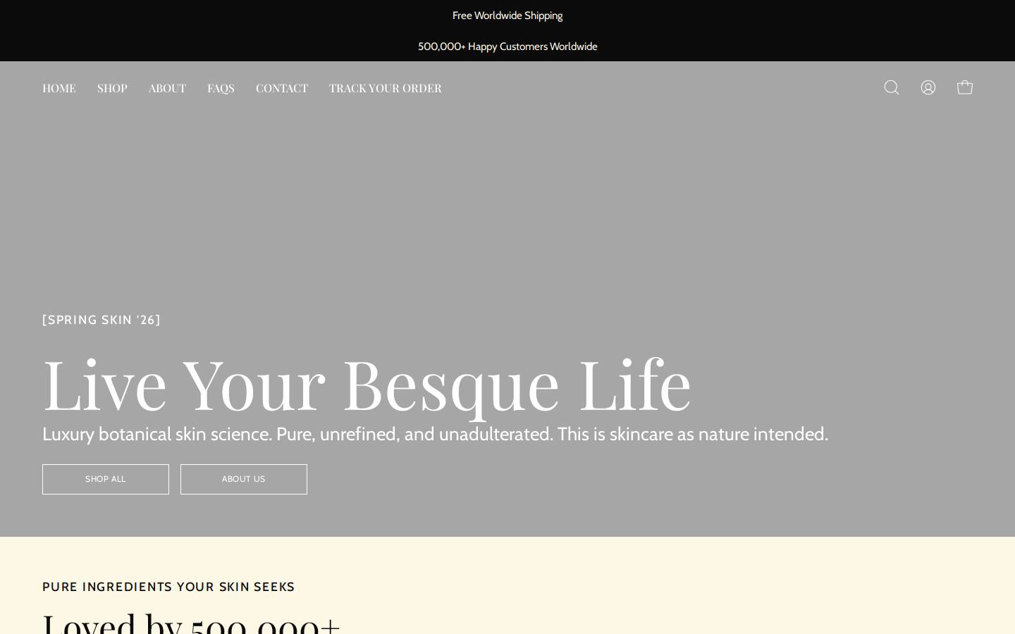 Besque homepage screenshot