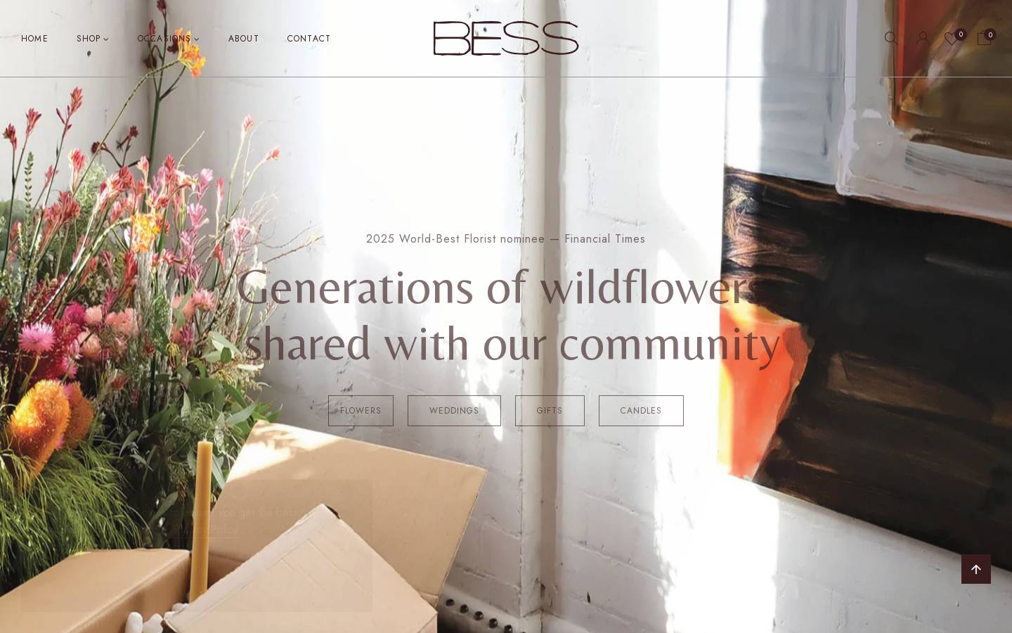 besspaddington.com homepage screenshot