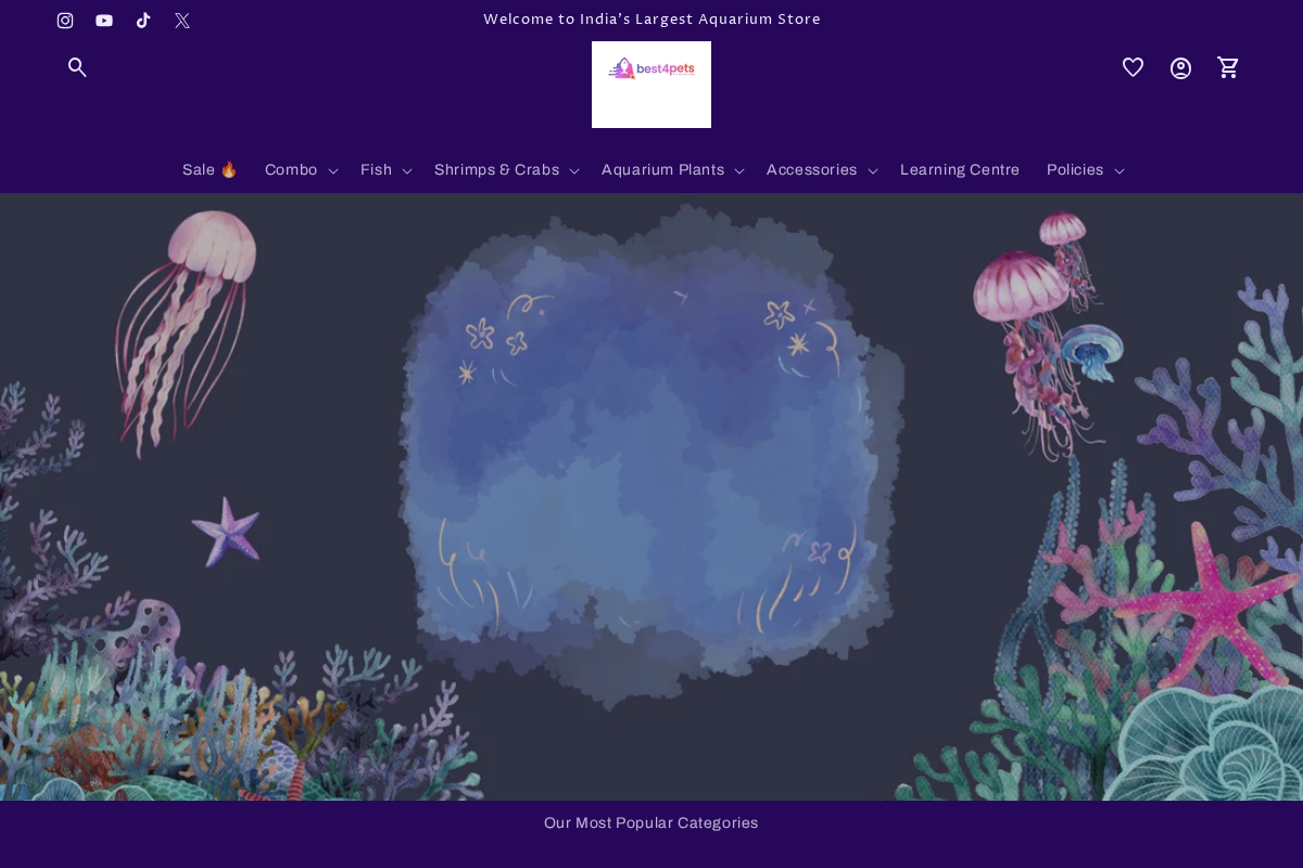 best4pets.in homepage screenshot