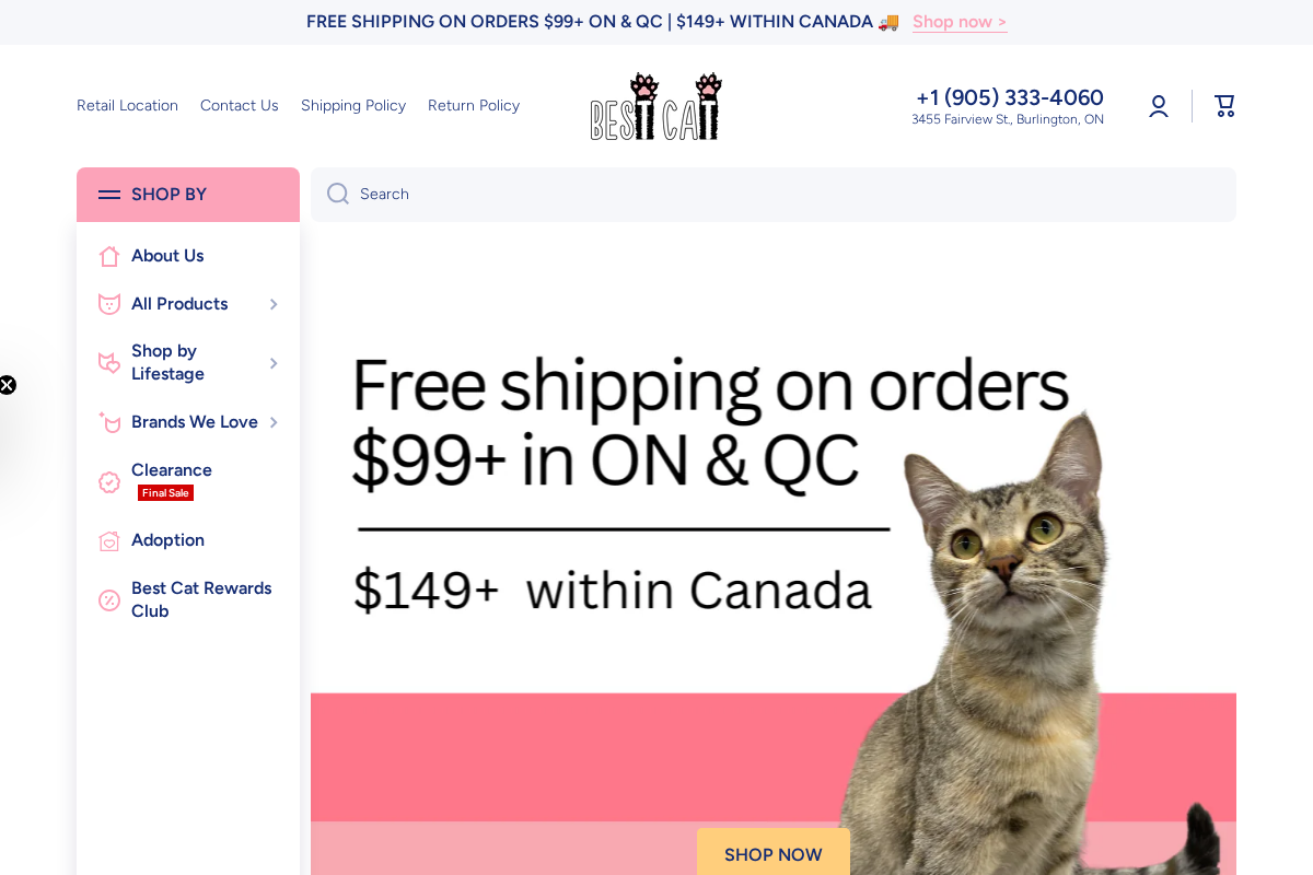 bestcat.ca homepage screenshot