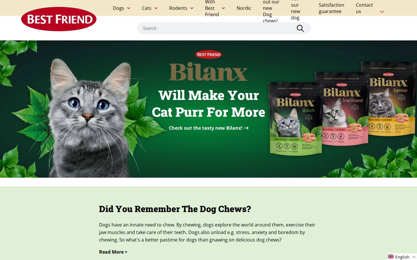 Best Friend Danmark homepage screenshot