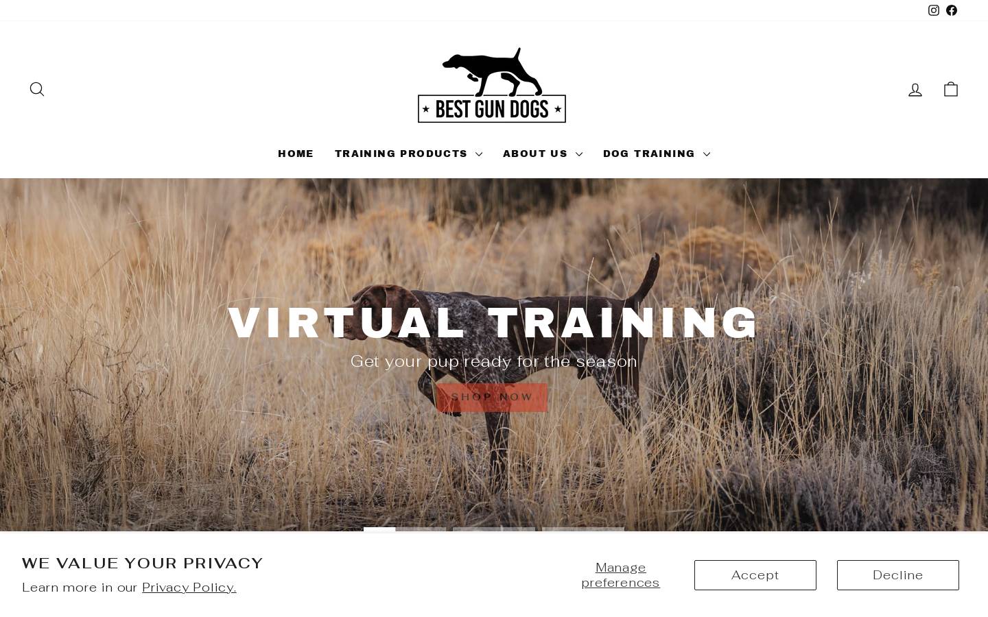bestgermanshorthairs.com homepage screenshot