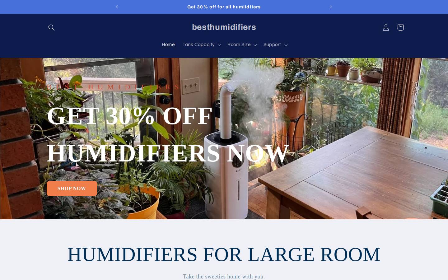 besthumidifiers.com homepage screenshot