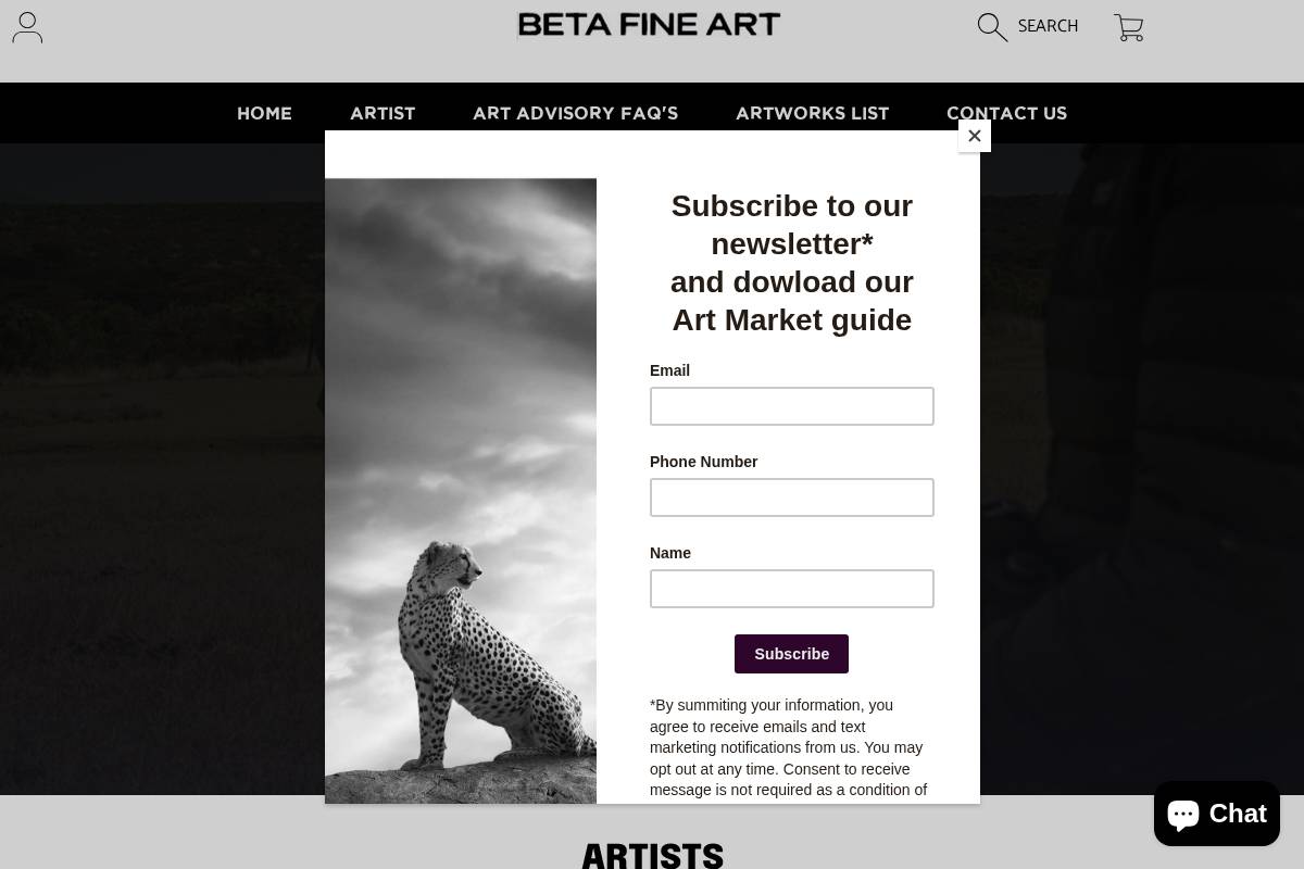 Beta Fine Art homepage screenshot