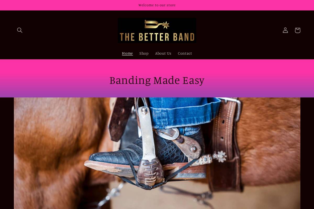 betterband.org homepage screenshot
