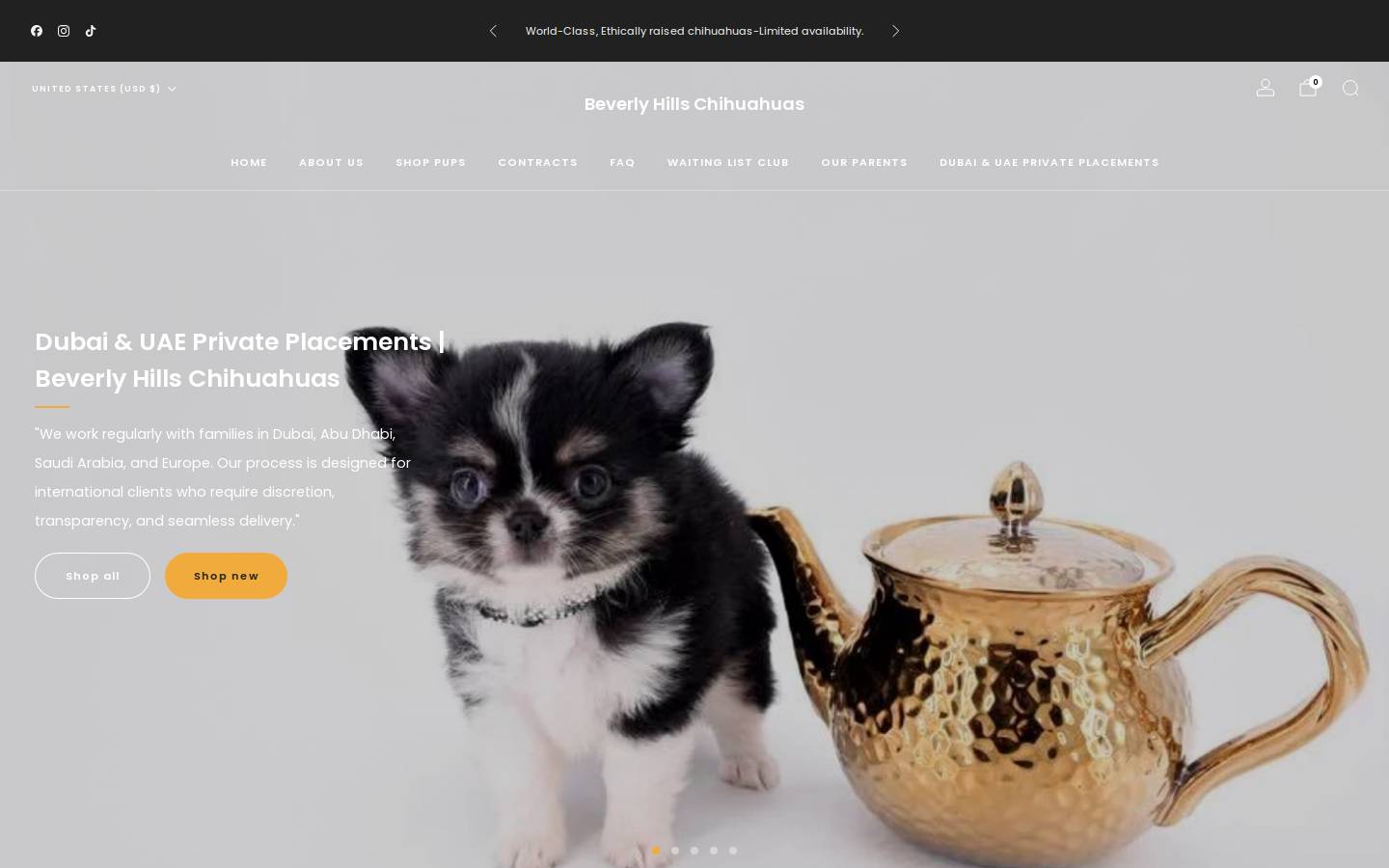 beverlyhillschihuahuas.com homepage screenshot