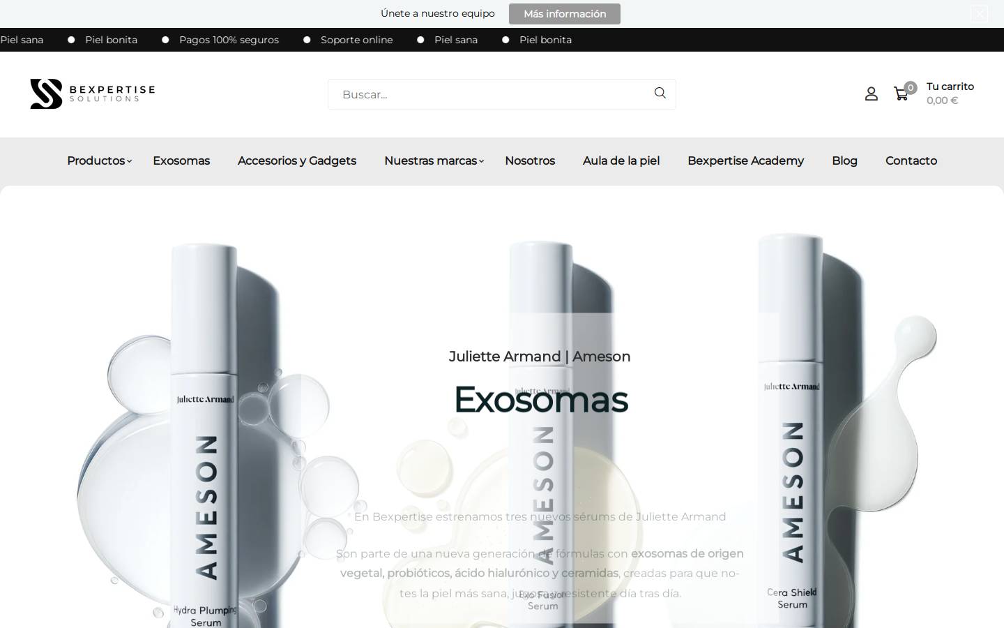 bexpertise.es homepage screenshot