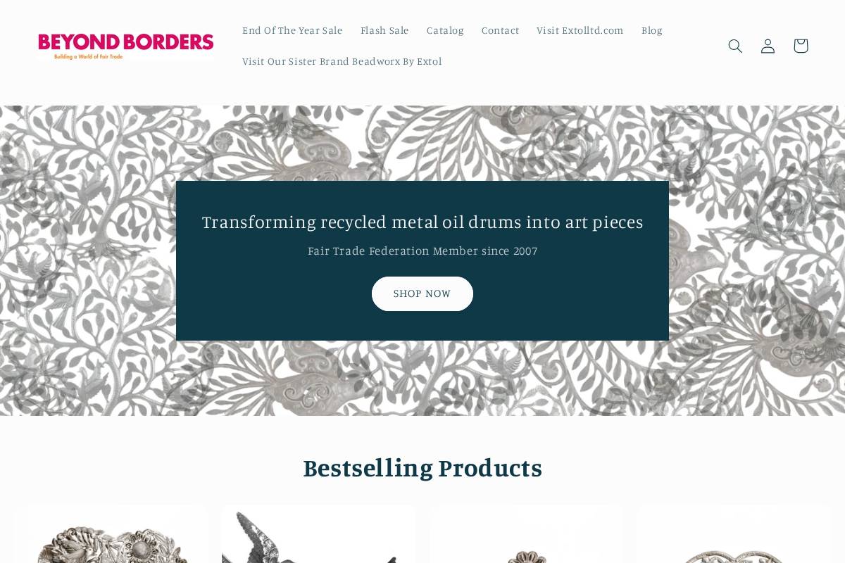 beyondbordershome.com homepage screenshot