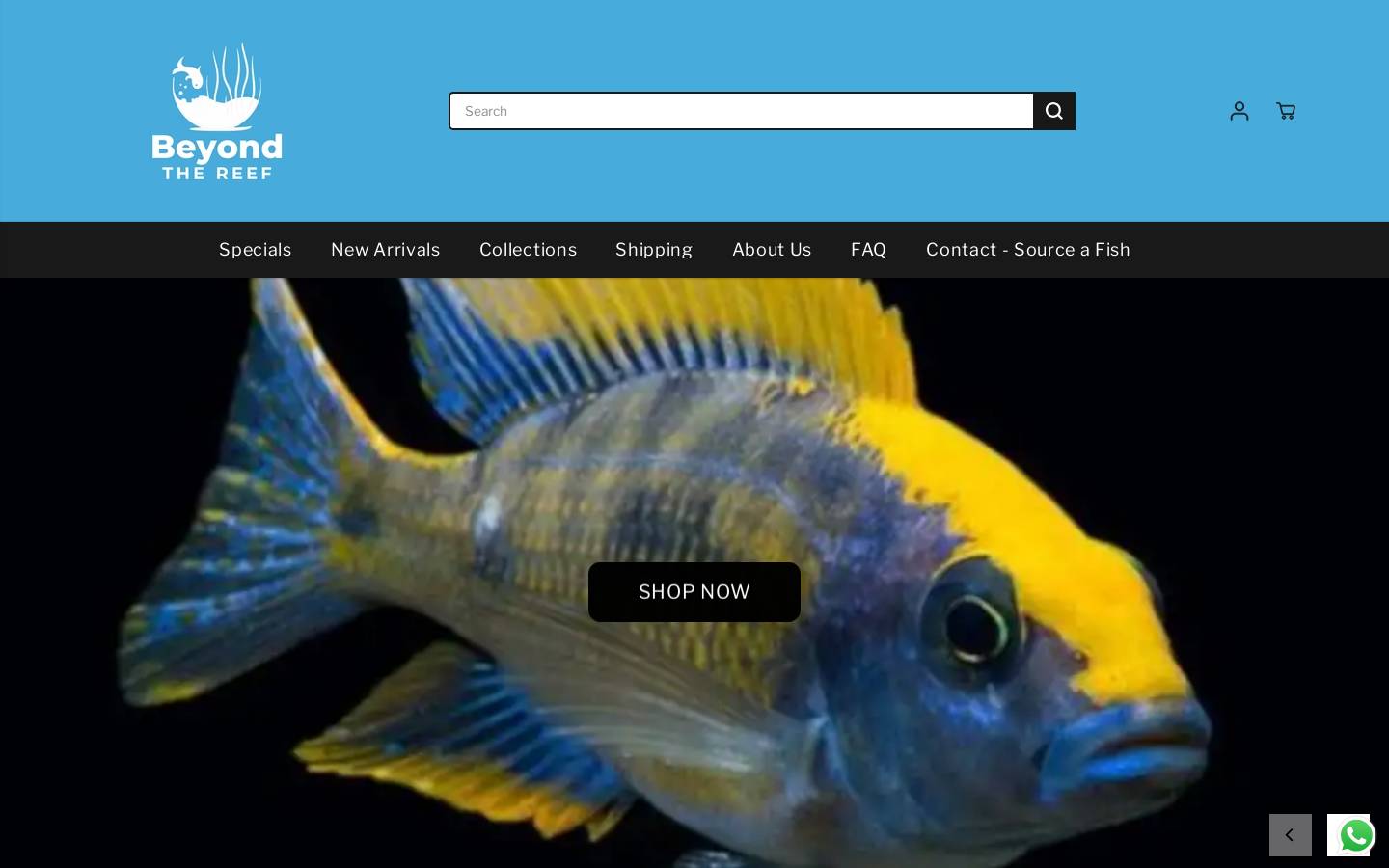 beyondthereefaquariums.com homepage screenshot