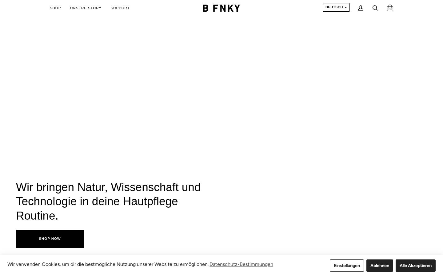 bfnky.com homepage screenshot