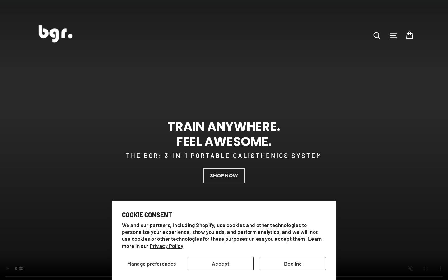 bgr-training.com homepage screenshot