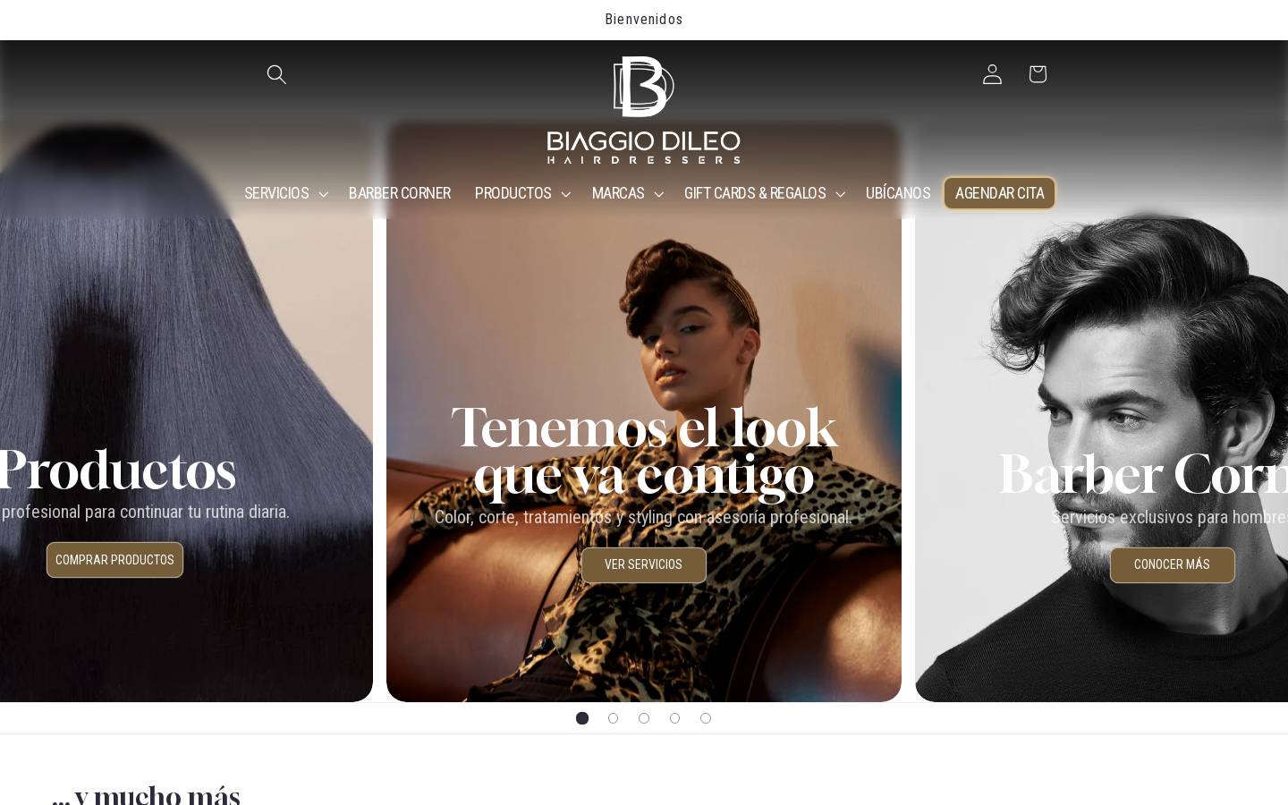 biaggiodileo.com homepage screenshot