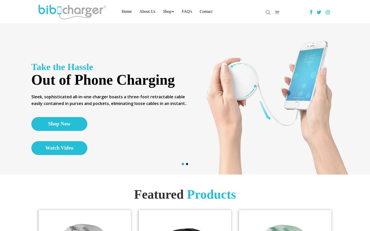 bibicharger.com homepage screenshot