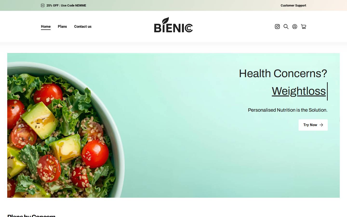 bienic.com homepage screenshot