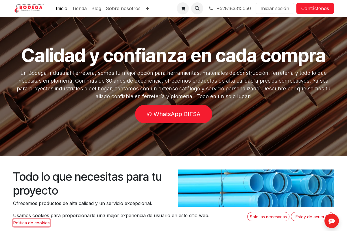 bifsa.com.mx homepage screenshot