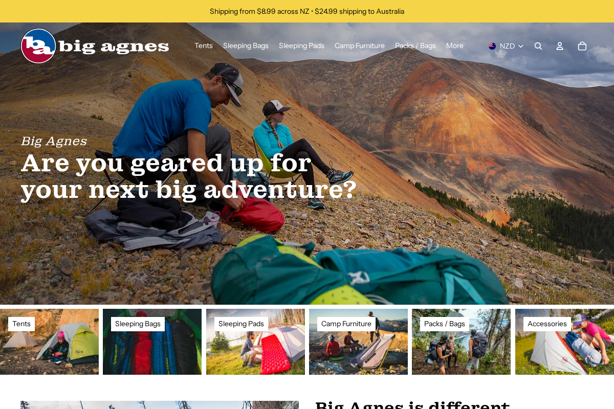 Bigagnes homepage screenshot