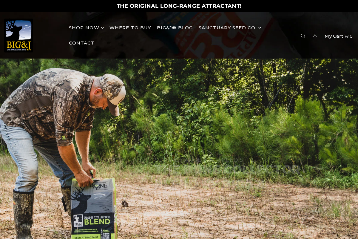 bigandj.com homepage screenshot