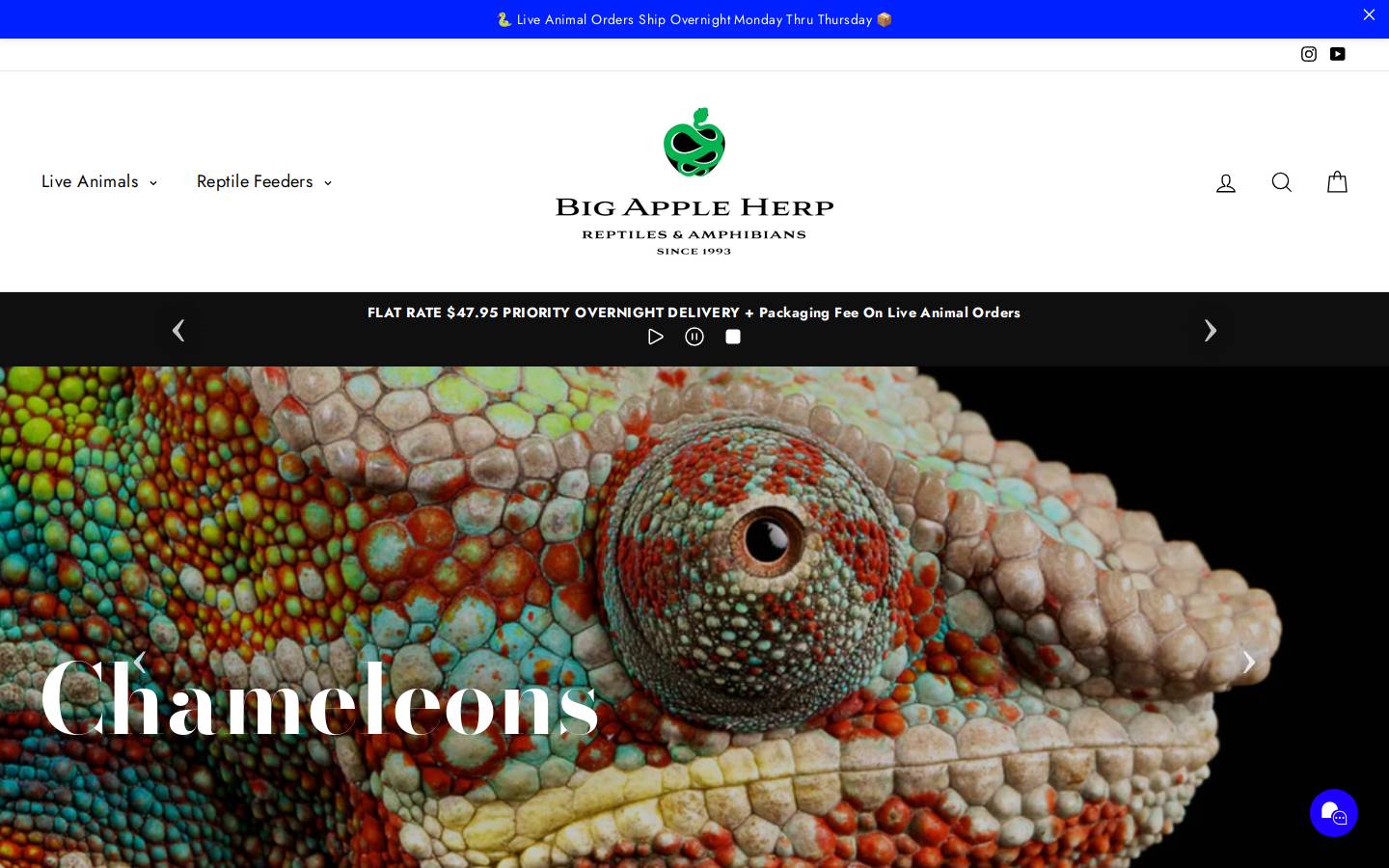 Big Apple Pet Supply homepage screenshot