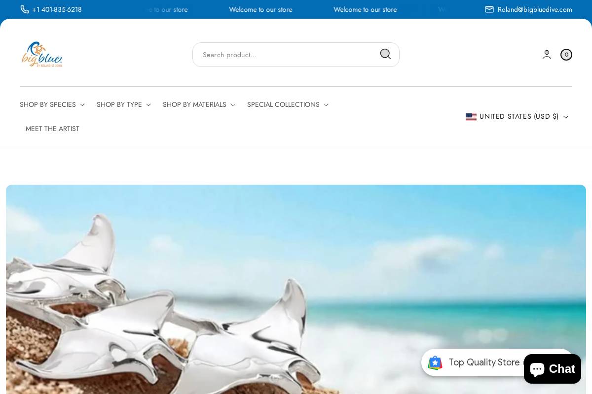 bigbluedive.com homepage screenshot