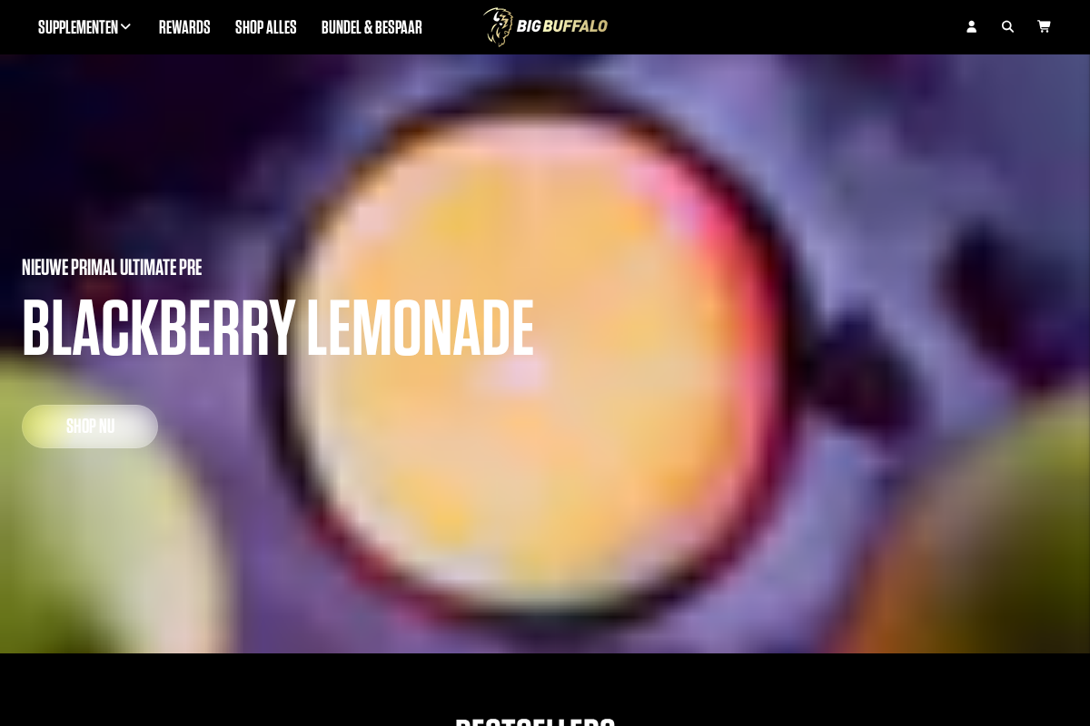 bigbuffalo.nl homepage screenshot