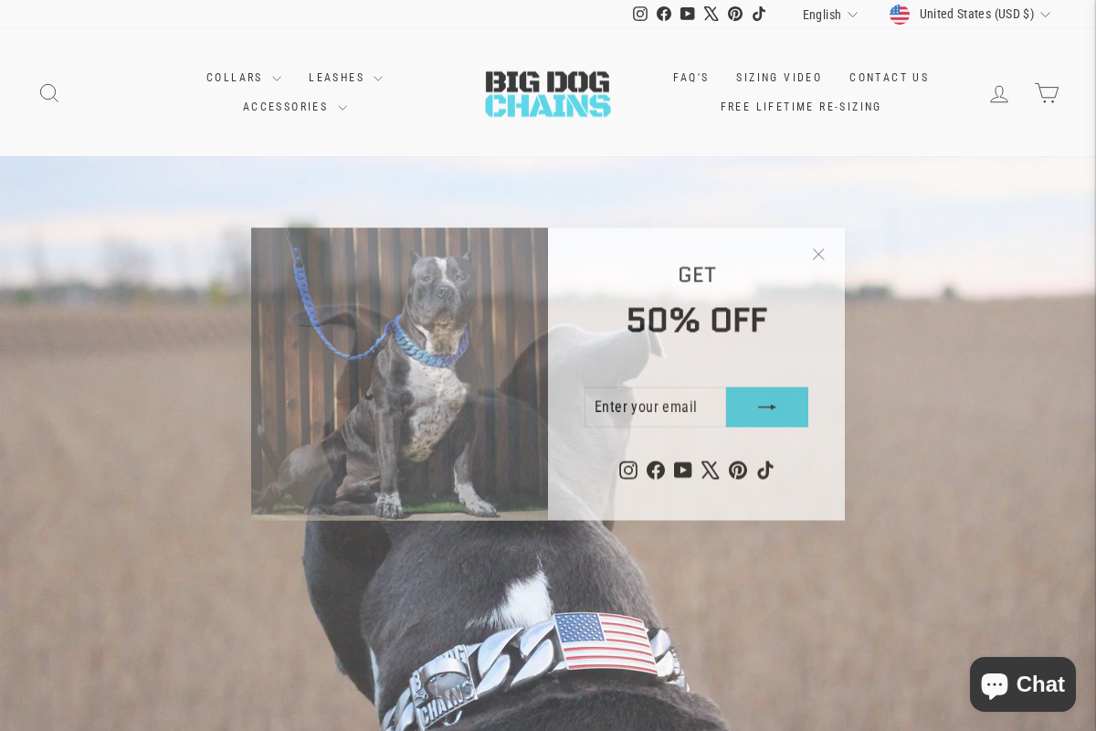 Big Dog Chains homepage screenshot