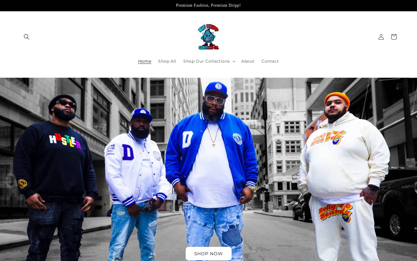 bigdripp.com homepage screenshot