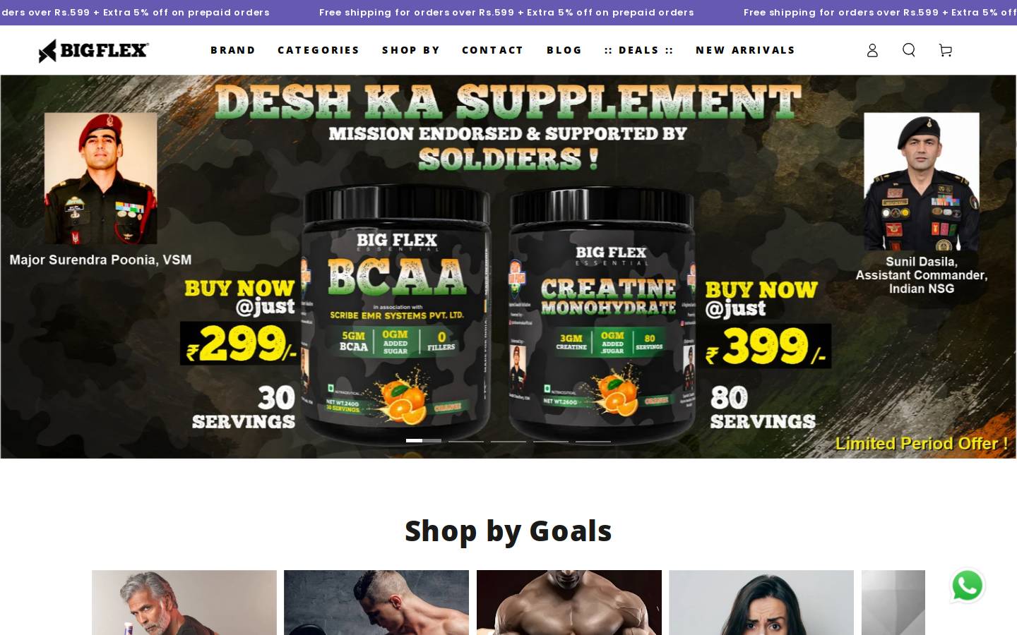 Bigflex Lifescience homepage screenshot