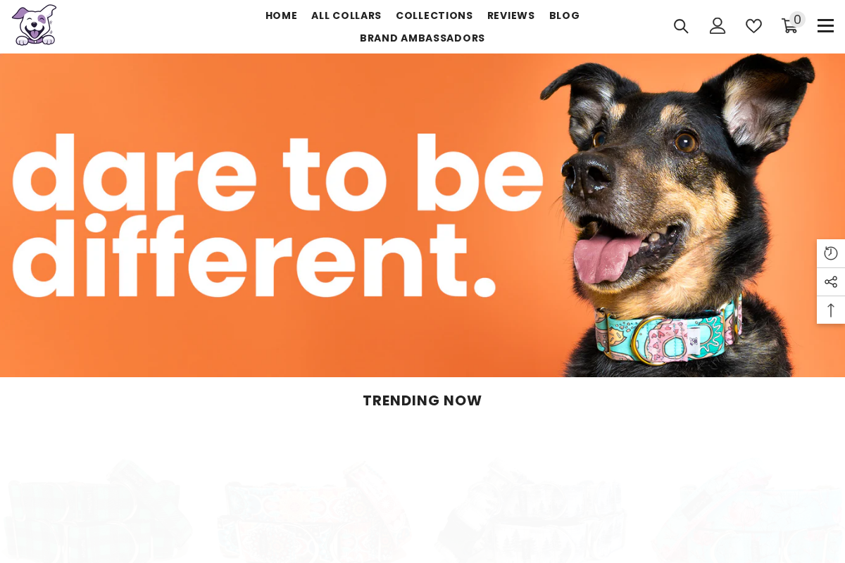 bigpawshop.ca homepage screenshot