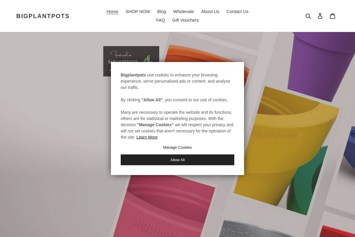 bigplantpots.co.uk homepage screenshot