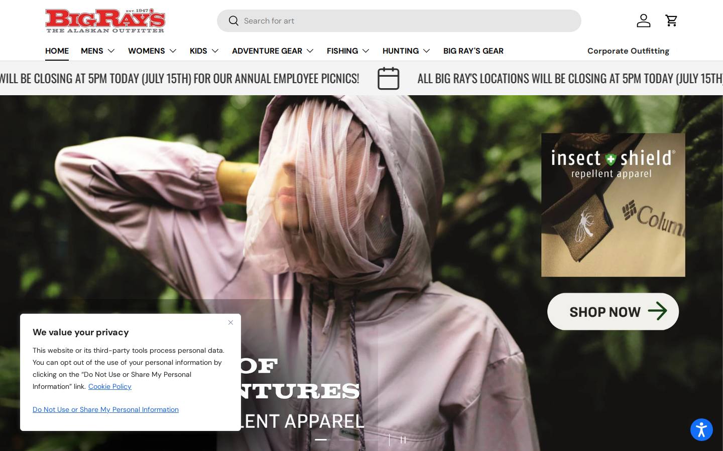 bigrays.com homepage screenshot