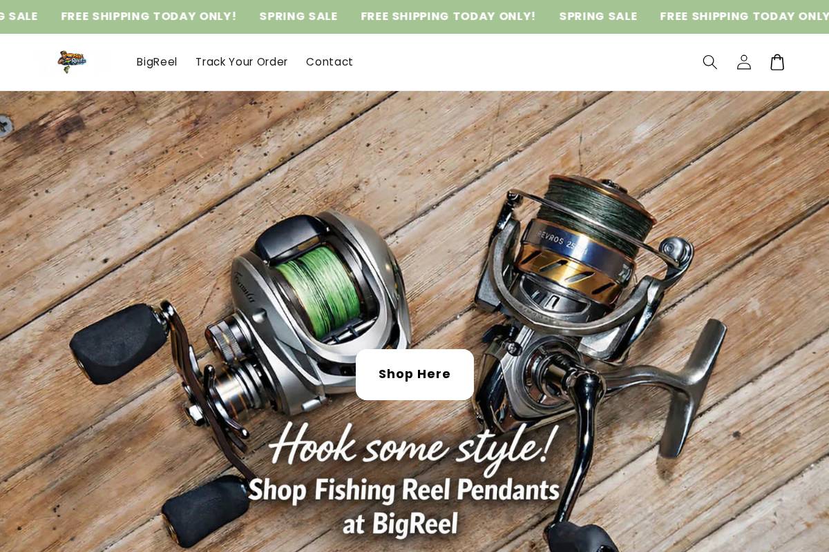 bigreel.co homepage screenshot