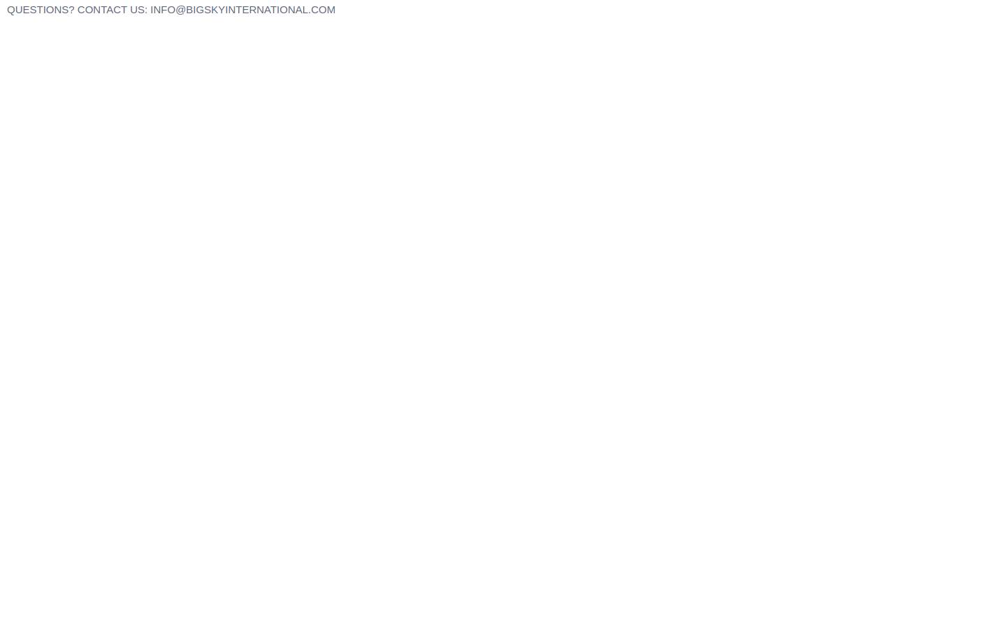 bigskyinternational.com homepage screenshot