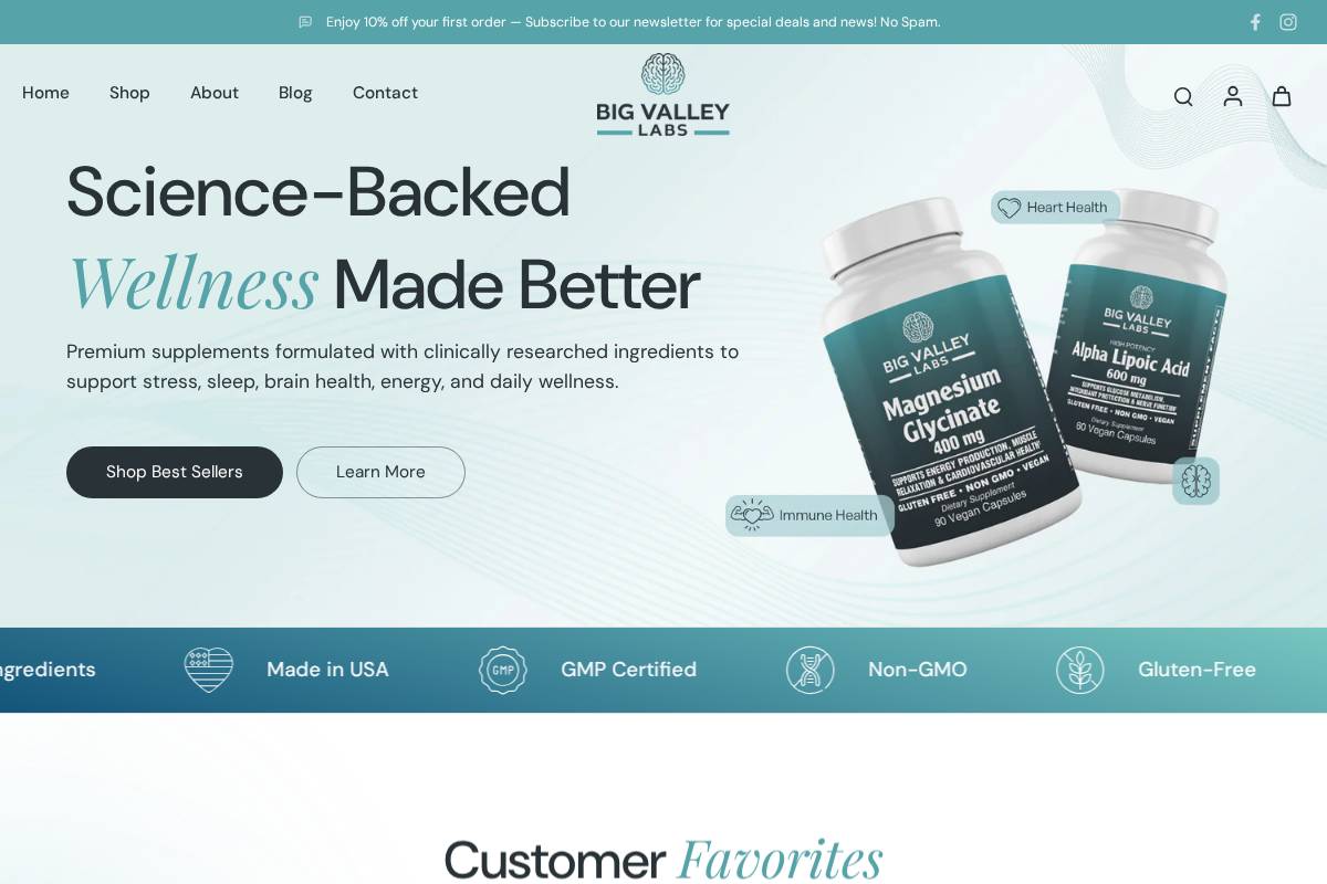 bigvalleylabs.com homepage screenshot