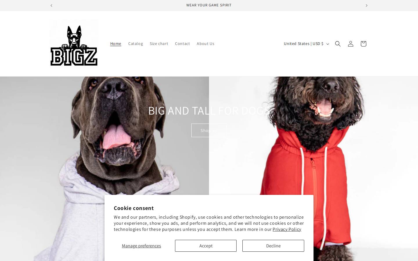 bigzstore.com homepage screenshot