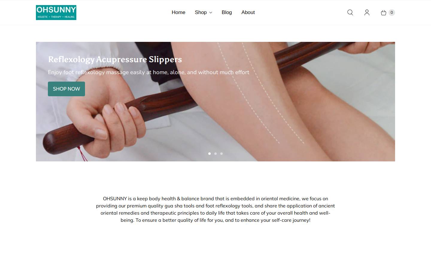 bikiniv.com homepage screenshot