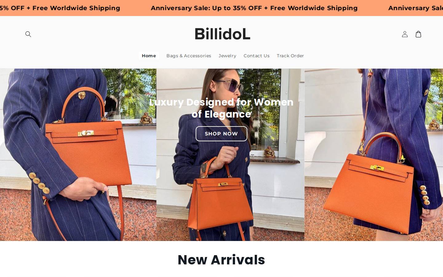 billidol.com homepage screenshot