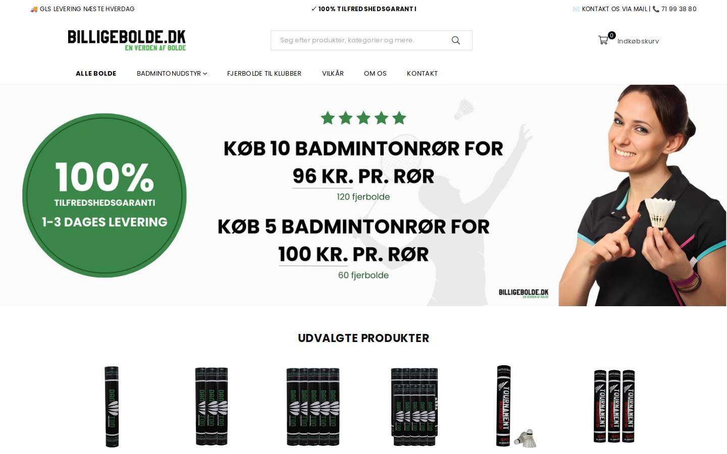 Billigebolde.dk homepage screenshot