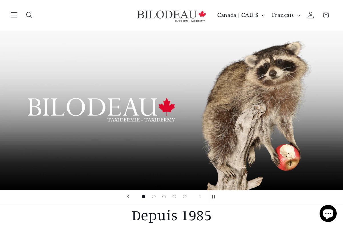 Bilodeaucanadataxidermy homepage screenshot
