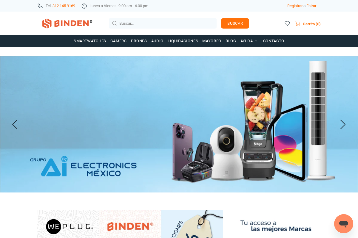 BINDEN homepage screenshot